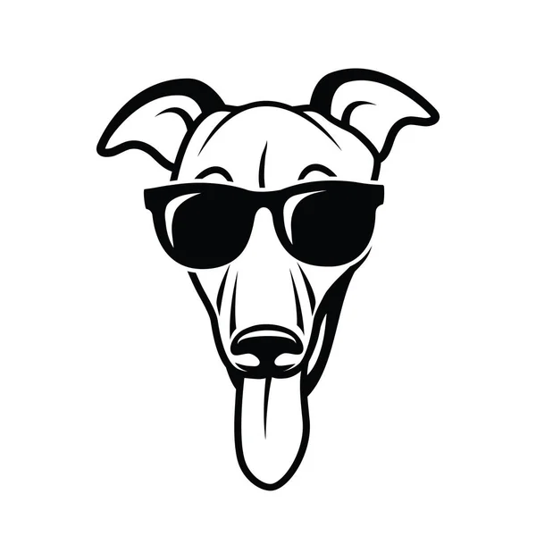 Cute Greyhound Dog Wearing Sunglasses Isolated Vector Illustration — Stock Vector