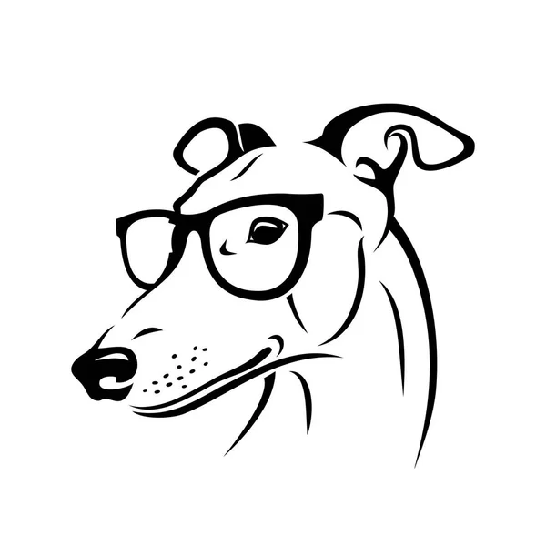 Pies Cute Greyhound Noszenie Okulary Przeciwsłoneczne Wektor Białym Tle — Wektor stockowy