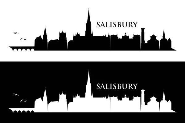 Salisbury Skyline Reino Unido Reino Unido Inglaterra Grã Bretanha — Vetor de Stock