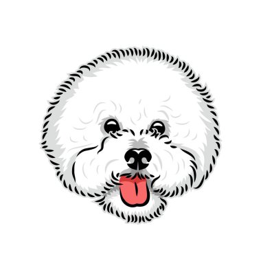 Beyaz arkaplanda izole edilmiş Bichon köpeği, basitçe vektör illüstrasyonu