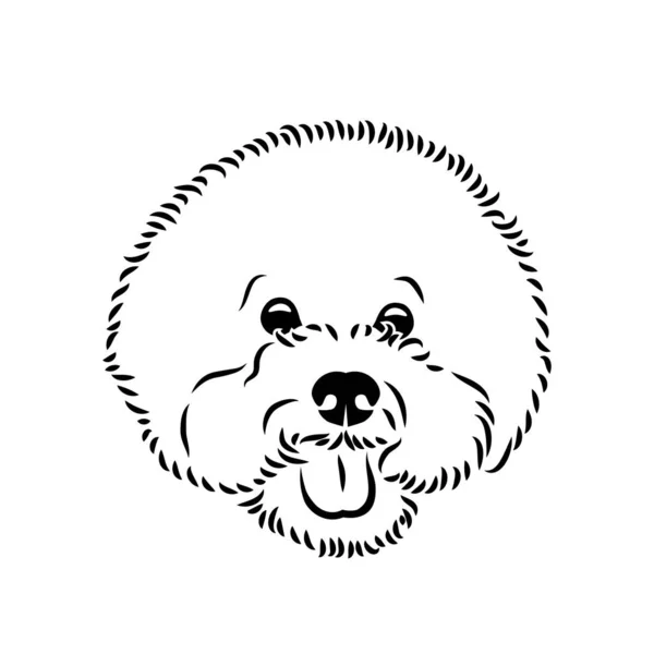 Cão Bichon Isolado Fundo Branco Simplesmente Ilustração Vetorial — Vetor de Stock