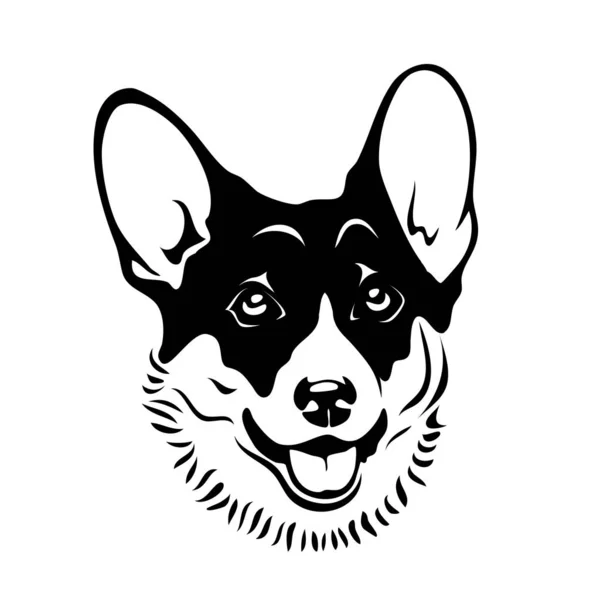 Cão Corgi Isolado Fundo Branco Simplesmente Ilustração Vetorial — Vetor de Stock