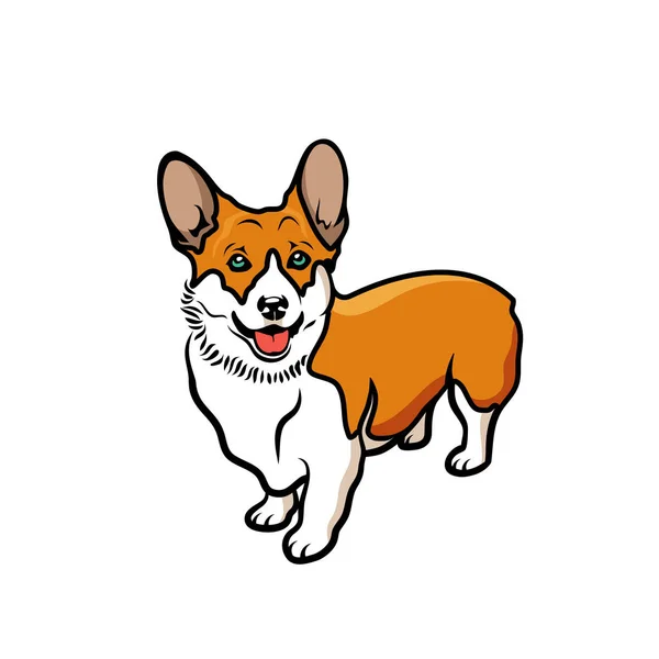 Corgi Hond Geïsoleerd Witte Achtergrond Gewoon Vector Illustratie — Stockvector