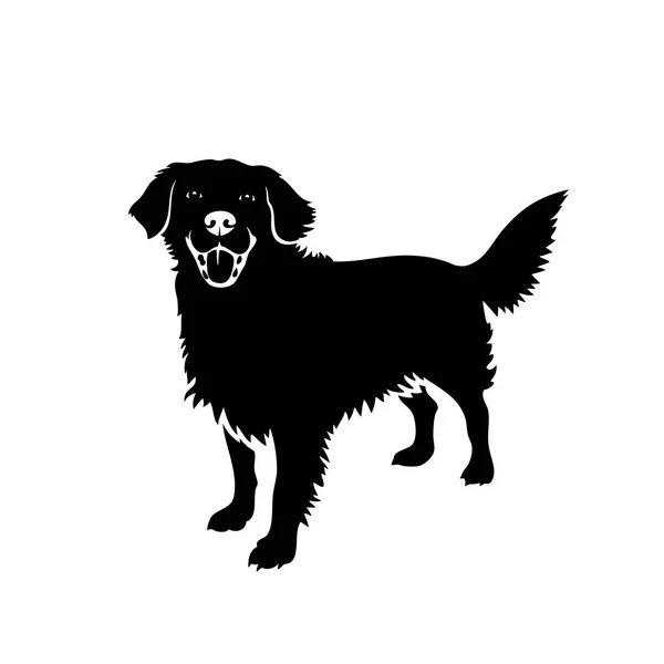 Labrador Perro Aislado Sobre Fondo Blanco Ilustración Vectorial Simple — Vector de stock