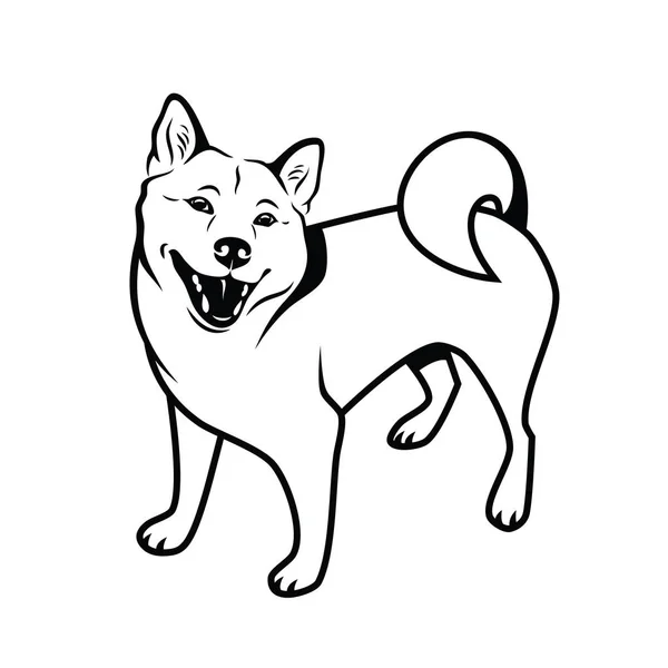 Shiba Inu Cão Isolado Fundo Branco Simplesmente Ilustração Vetorial — Vetor de Stock