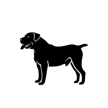 Boerboel 'in vektör çizimi beyaz arkaplanda izole edildi 