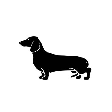 Beyaz arkaplanda izole edilmiş dachshund vektör illüstrasyonu 