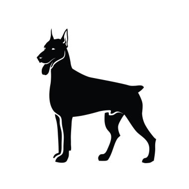 Beyaz arkaplanda izole edilmiş doberman illüstrasyonu 