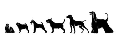 Sıraya dizilmiş çeşitli köpekler, vektör illüstrasyonu 