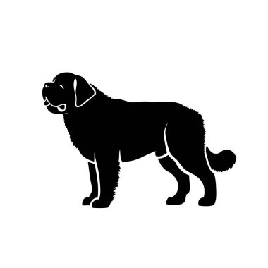 St. Bernard köpeğinin vektör illüstrasyonu beyaz arkaplanda izole edildi 
