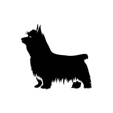 Beyaz arkaplanda izole edilmiş ipeksi teriyerin vektör illüstrasyonu 