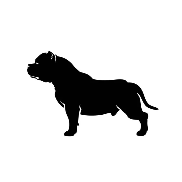 Vector Illustration American Bully Isolated White Background — Stock Vector