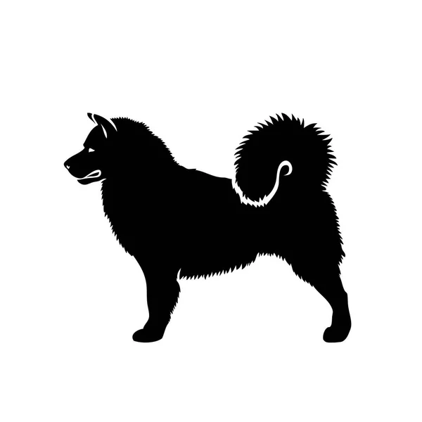 Vektor Illustration Alaskisk Malamute Isolerad Vit Bakgrund — Stock vektor