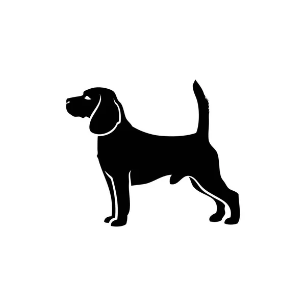 Ilustração Vetorial Beagle Isolado Sobre Fundo Branco — Vetor de Stock