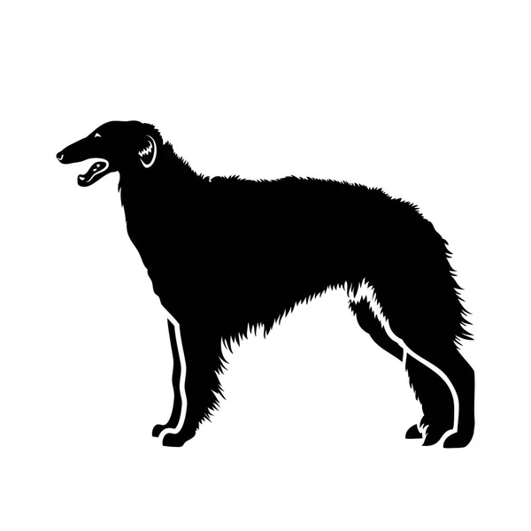 Vektor Illustration Borzoi Hund Isolerad Vit Bakgrund — Stock vektor