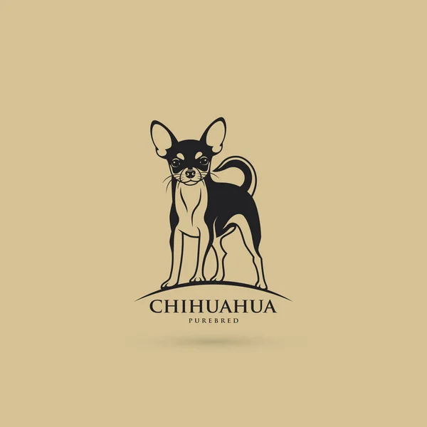 Chihuahua Cão Vetor Ilustração — Vetor de Stock