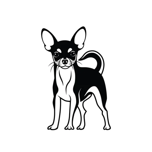 Chihuahua Cão Vetor Ilustração — Vetor de Stock