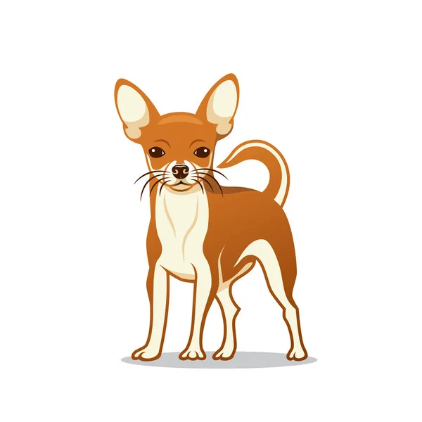 Chihuahua Cão Vetor Ilustração — Vetor de Stock