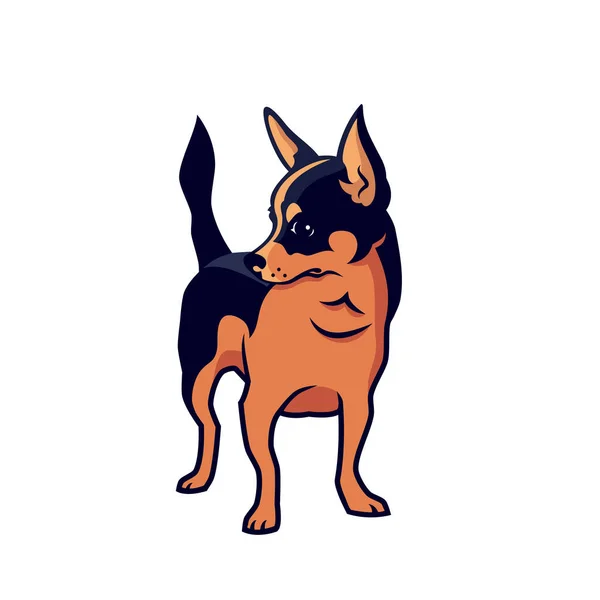 Chihuahua Pies Wektor Ilustracja — Wektor stockowy