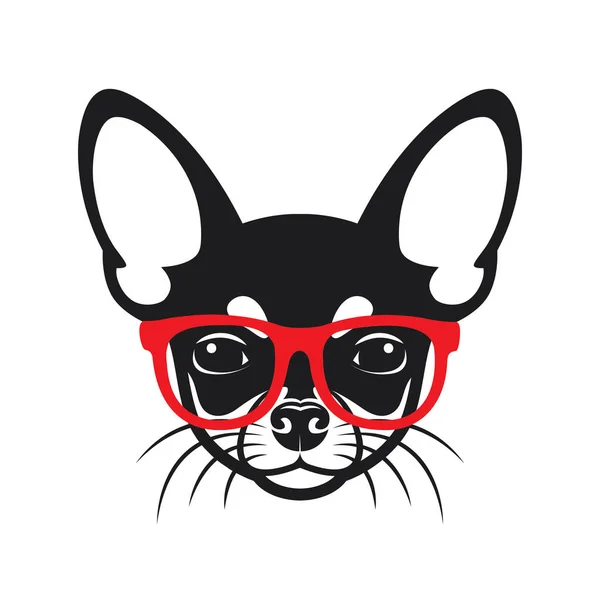 Chihuahua Perro Gafas Vector Ilustración — Archivo Imágenes Vectoriales