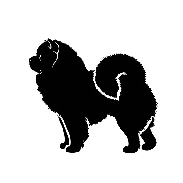 Ilustração Vetorial Cão Chow Chow Isolado Fundo Branco —  Vetores de Stock