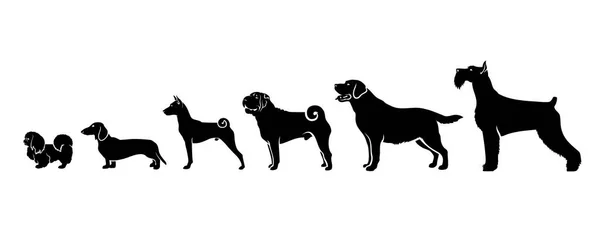 Различные Собаки Стоят Ряд Векторная Иллюстрация — стоковый вектор