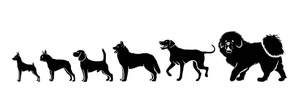 Vari Cani Piedi Fila Illustrazione Vettoriale — Vettoriale Stock