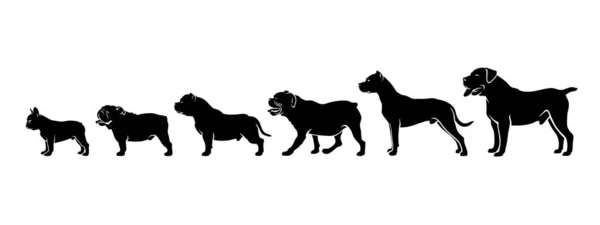 Various Dogs Standing Row Vector Illustration — Stock Vector