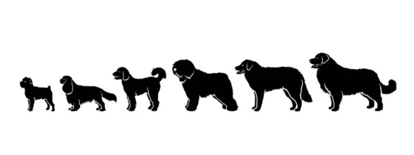 Various Dogs Standing Row Vector Illustration — Stock Vector