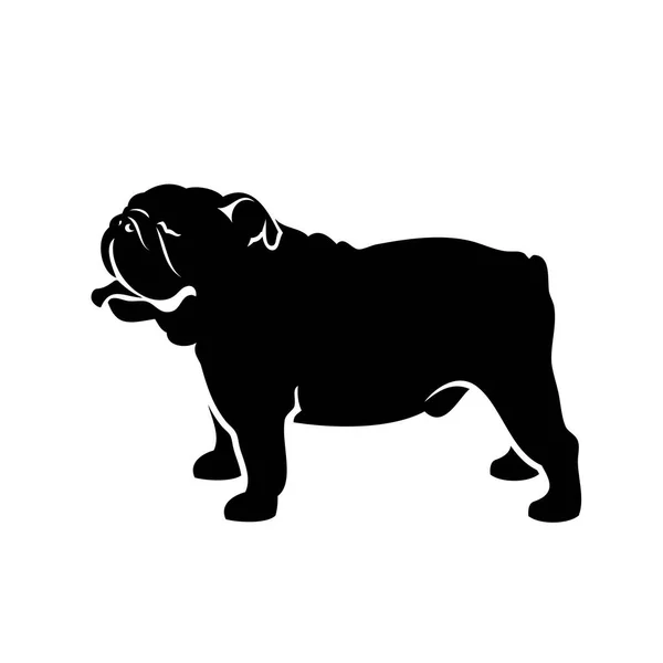 Beyaz Arka Planda Izole Edilmiş Ngiliz Bulldogunun Vektör Illüstrasyonu — Stok Vektör