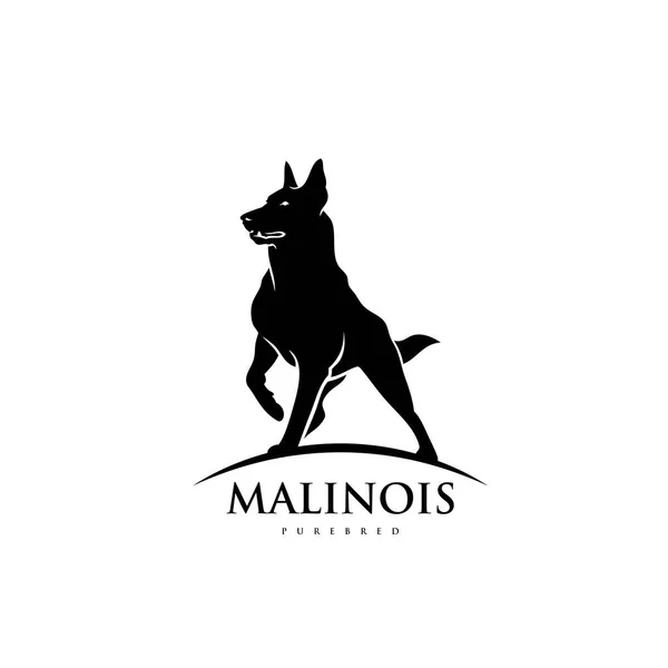 Vector Illustration Malinois Dog Isolated White Background — Stock Vector