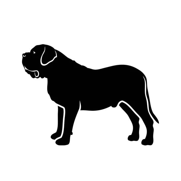 Vector Illustration Mastiff Isolated White Background — Stock Vector