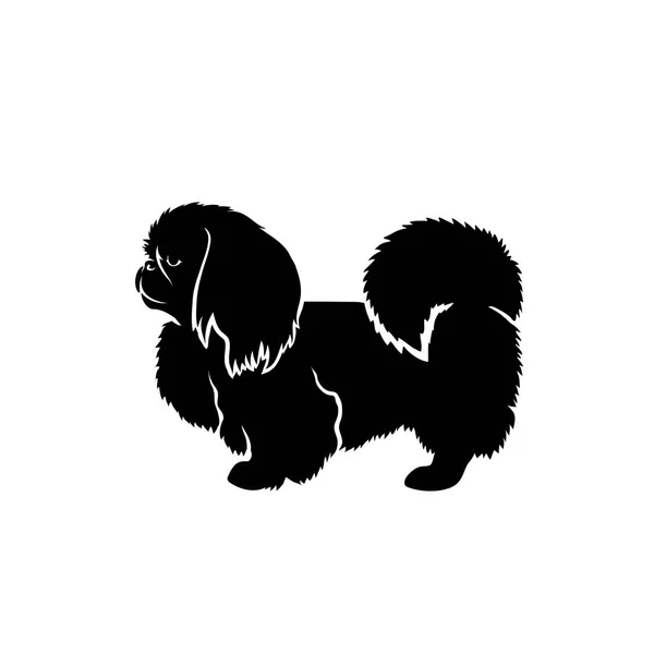 Vektor Illustration Pekingese Isolerad Vit Bakgrund — Stock vektor