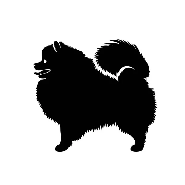 Vektor Illustration Pomerian Hund Isolerad Vit Bakgrund — Stock vektor