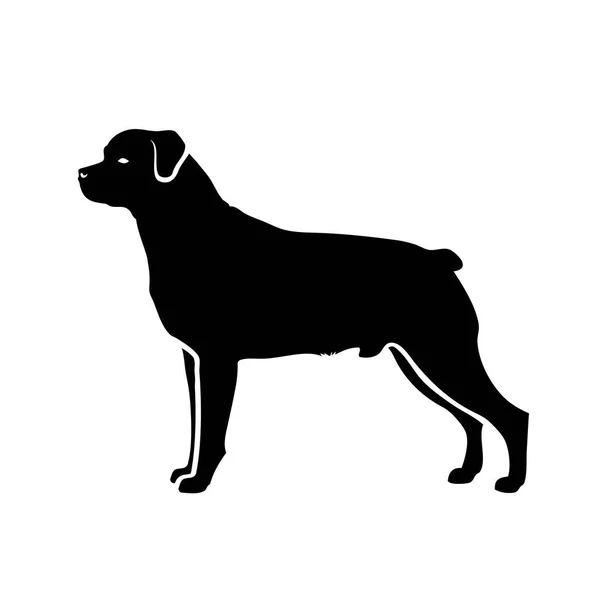 Vector Illustratie Van Rottweiler Geïsoleerd Witte Achtergrond — Stockvector