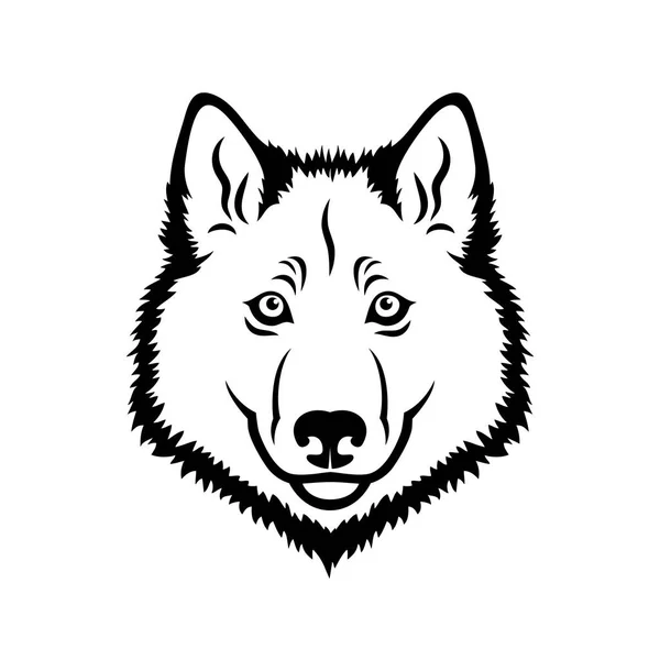 Vector Illustration Wolf — Stock Vector