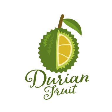 Meyve, durian vektör çizim kralı