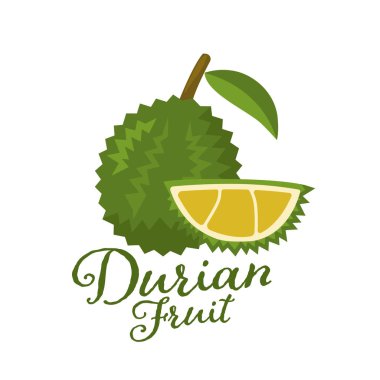 Meyve, durian vektör çizim kralı