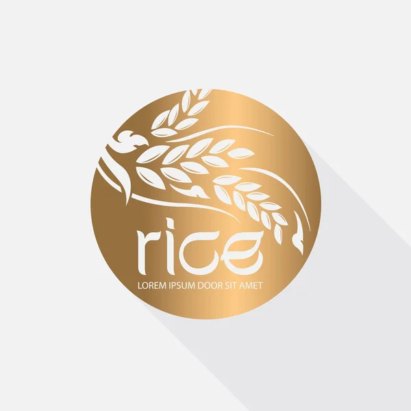 Rice Premium Organiczne Produkt Naturalny — Wektor stockowy