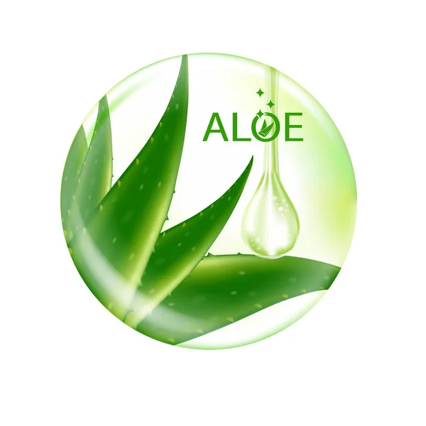 Aloe Vera Kolagen Serum Pielęgnacja Skóry Kosmetyk — Wektor stockowy