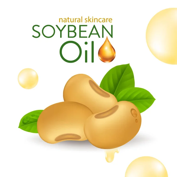 Soybeans Oil Serum Natural Skin Care Cosmetic Moisture Essence Vector — Stock Vector