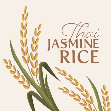 Paddy rice premium organik ürün logo taşıyıcı tasarımı