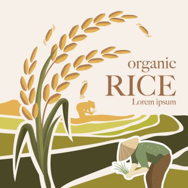 Paddy rice premium organik ürün logo taşıyıcı tasarımı