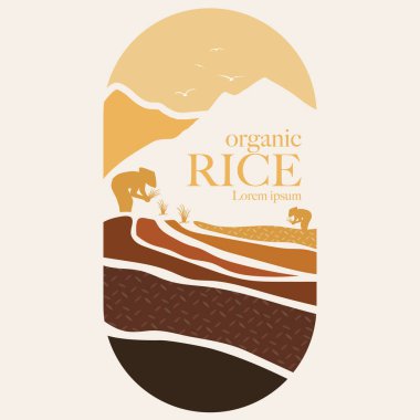 Paddy rice premium organik ürün logo taşıyıcı tasarımı