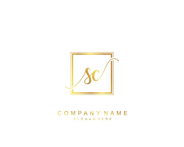 Monograma Belleza Inicial Diseño Logotipo Elegante Logotipo Escritura Mano Firma — Vector de stock