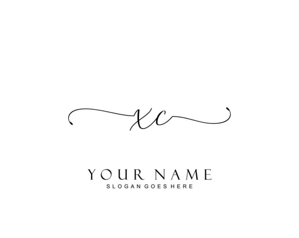 Initial Beauty Monogram Elegant Logo Design Handwriting Logo Initial Signature — Stock Vector