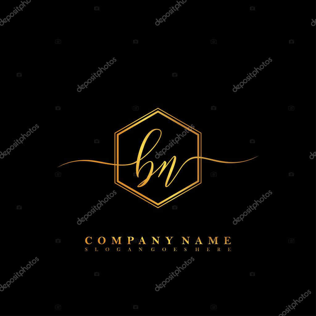 Initial letter BN beauty handwriting logo vector