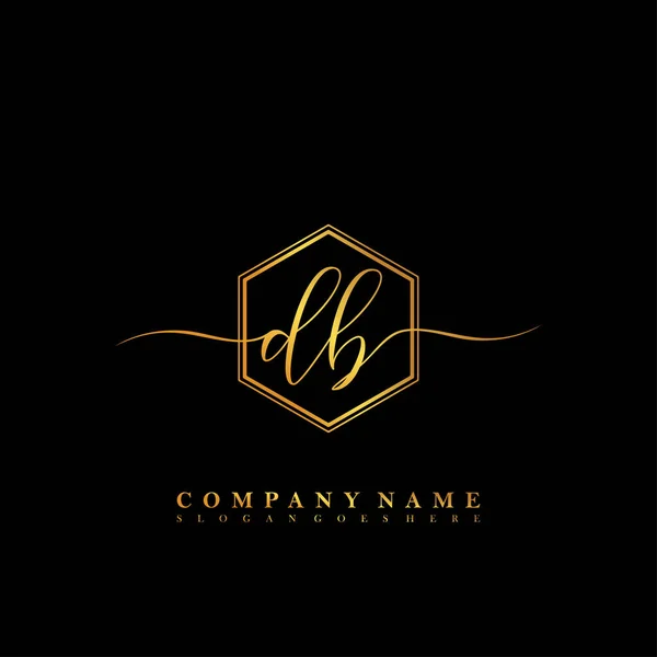 Initial Letter Beauty Handwriting Logo Vector — Stock Vector