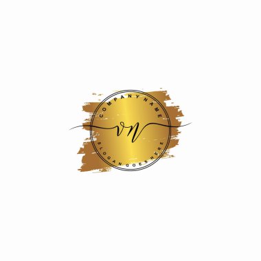 İlk harf VN güzellik el yazısı logo vektörü
