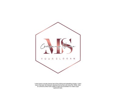 İlk harf MS güzellik el yazısı logo vektörü